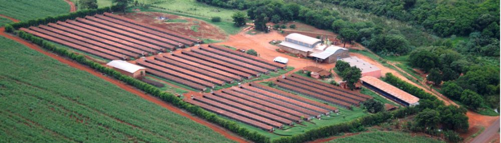 Granja Água Bonita
